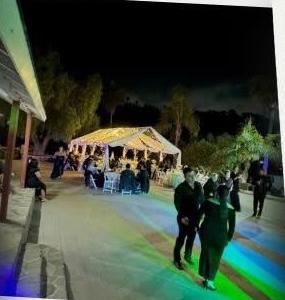 Bodas